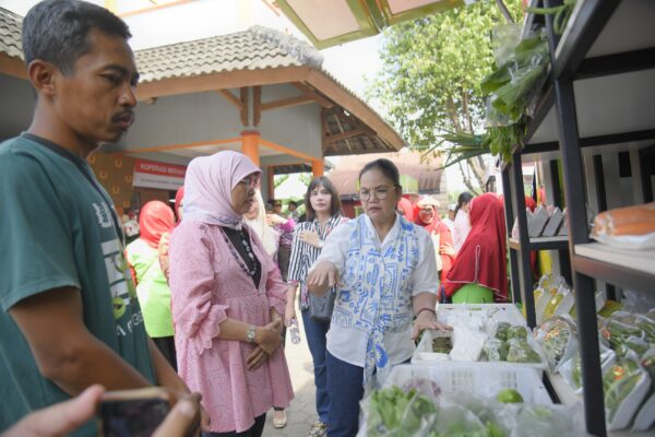 177 KKMP Disiapkan Jadi Model Nasional, Semarang Mantapkan Diri sebagai Kota Pionir Pangan Berkelanjutan