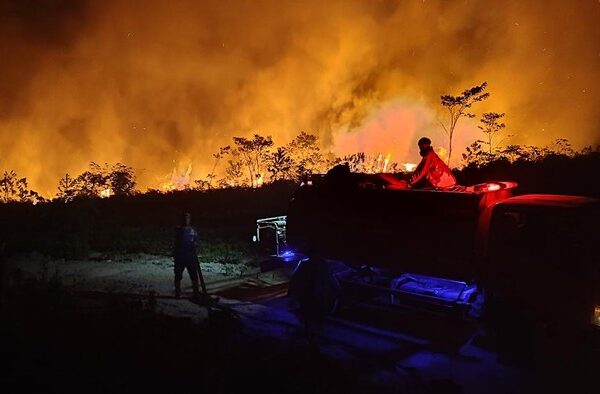Karhutla Kalimantan Meluas, DPR Minta Status Darurat Segera Dievaluasi