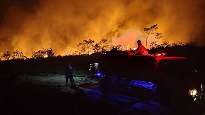 Karhutla Kalimantan Meluas, DPR Minta Status Darurat Segera Dievaluasi