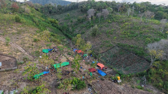 BMKG Catat 4.258 Gempa Susulan di NTT, Aktivitas Bisa Berlangsung 4 Minggu